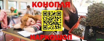 Альфа ПВП Каменск-Шахтинский