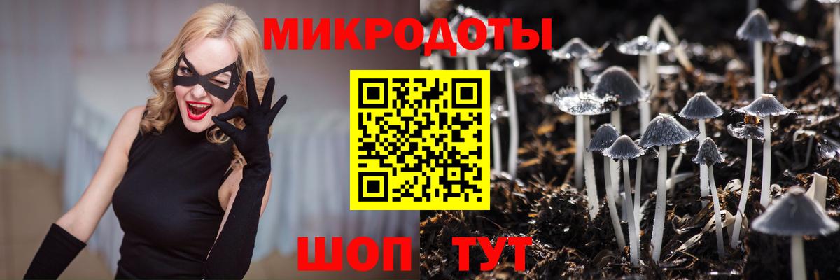 Псилоцибиновые грибы Psilocybine cubensis  Вход с VPN  Муром  Галлюциногенные грибы мухоморы 